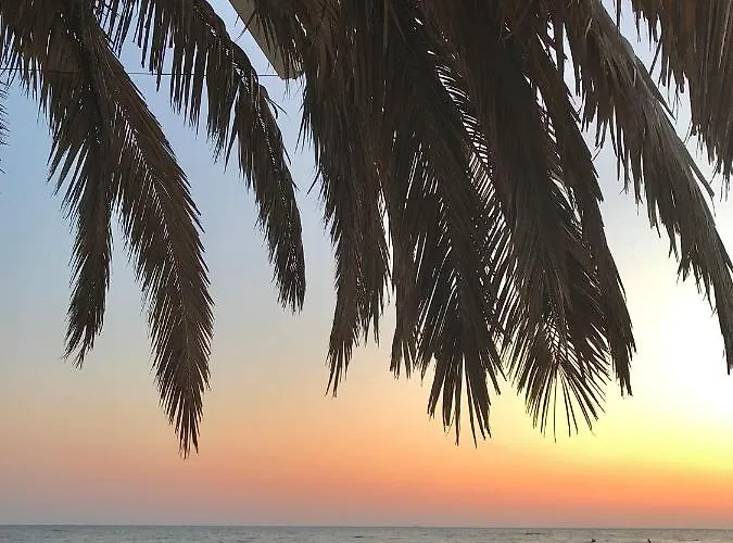 Chez Andrea, Centre Historique Daire